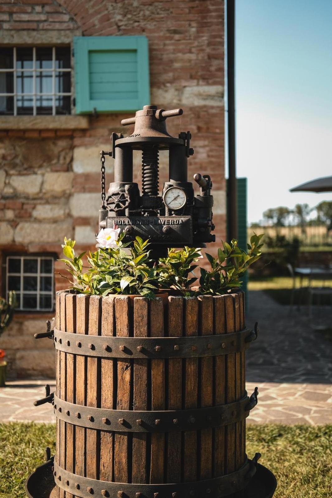 Podere Gli Olmi Cecina  Dış mekan fotoğraf